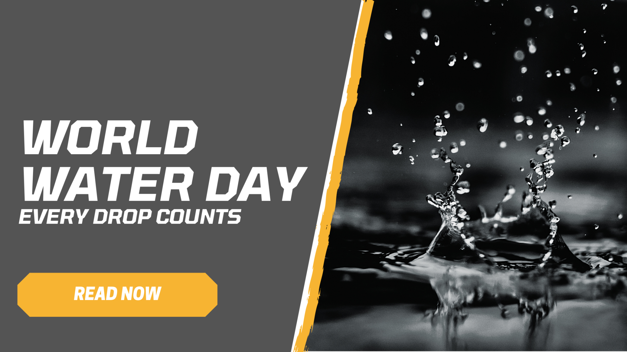 Every drop counts this World Water Day